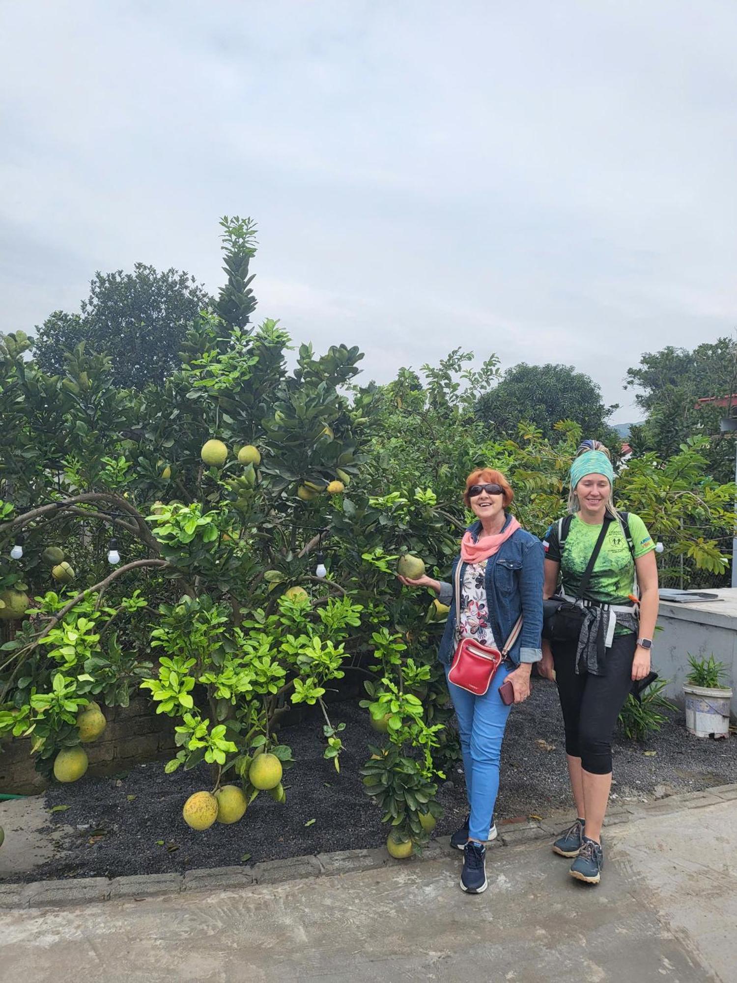 ニンビンTam Coc Pomelo Gardenアパートメント エクステリア 写真