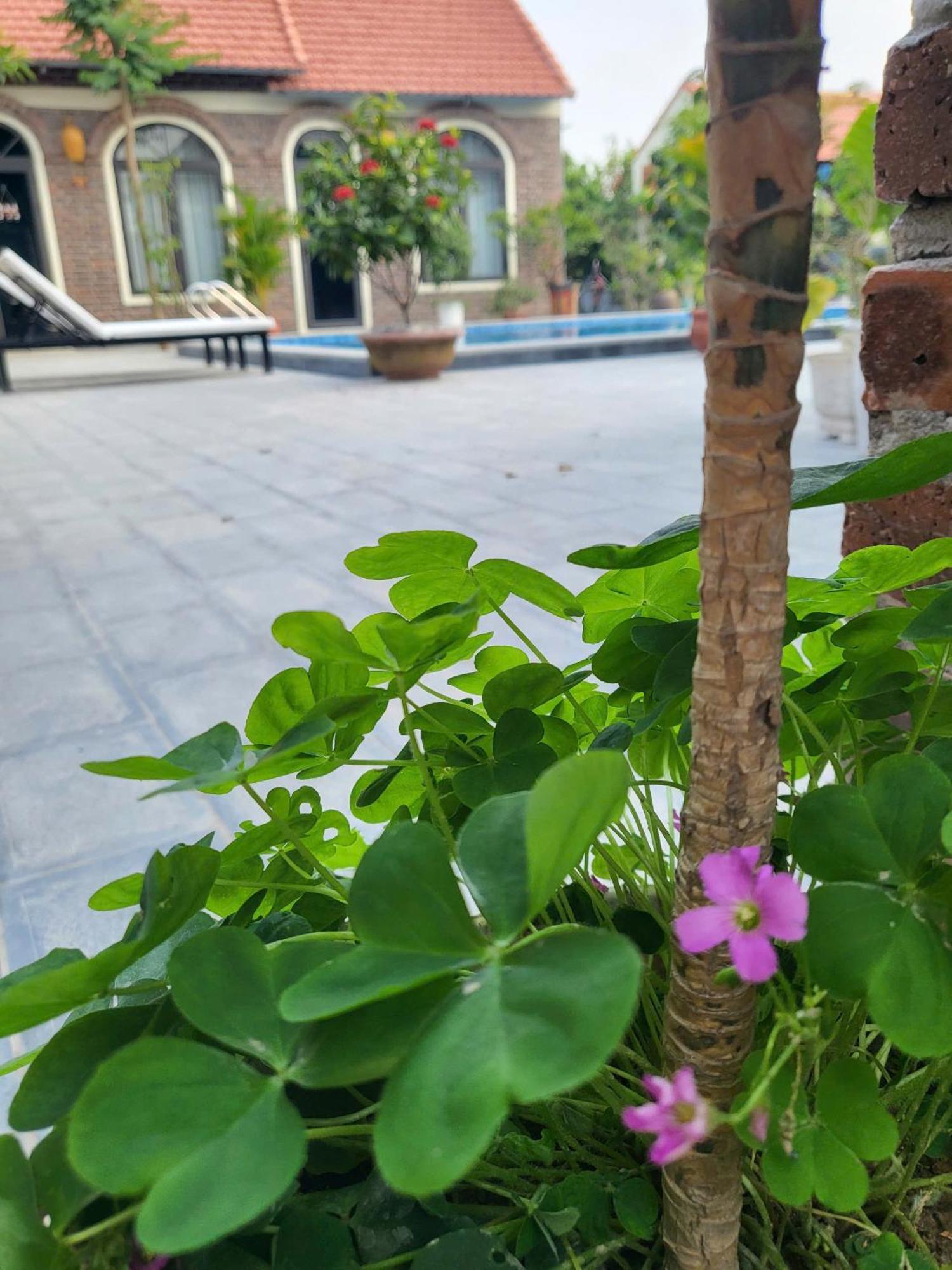 ニンビンTam Coc Pomelo Gardenアパートメント エクステリア 写真